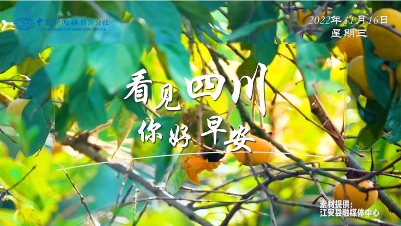 不少游客慕名前来乘坐和踏青赏花
