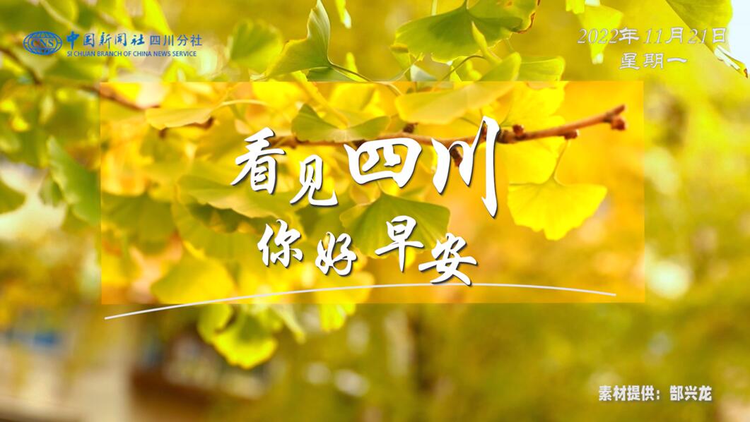 一串串花朵如风铃般相依相偎