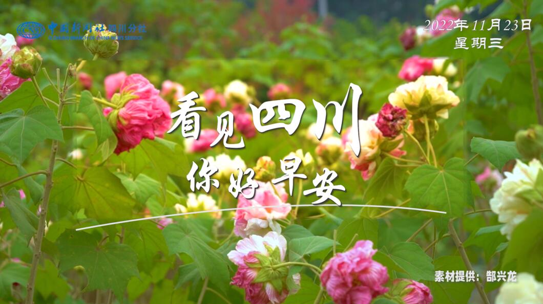 相关阅读看见盈盈彩app下载限时优惠