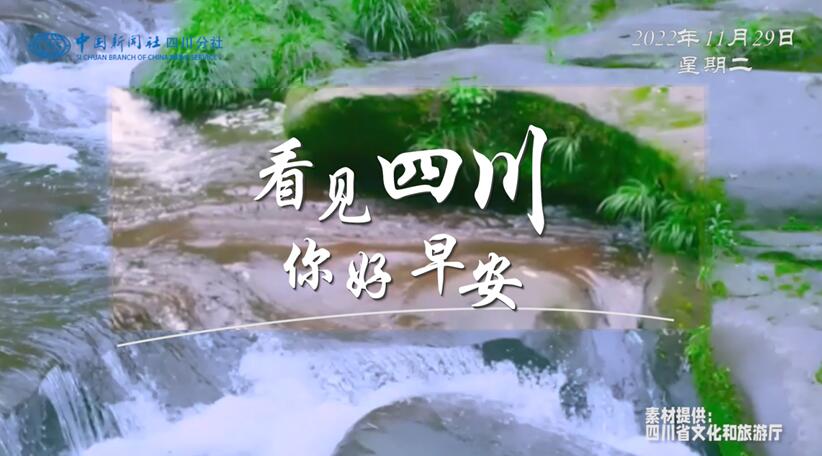 毛茸茸的