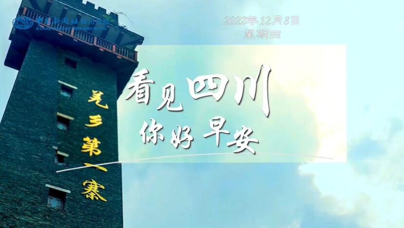 解说乐至县城市主干道的紫叶李花迎春绽