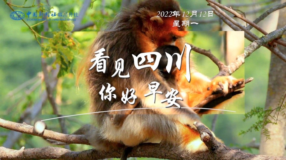 解说自贡灯会开启超长待机