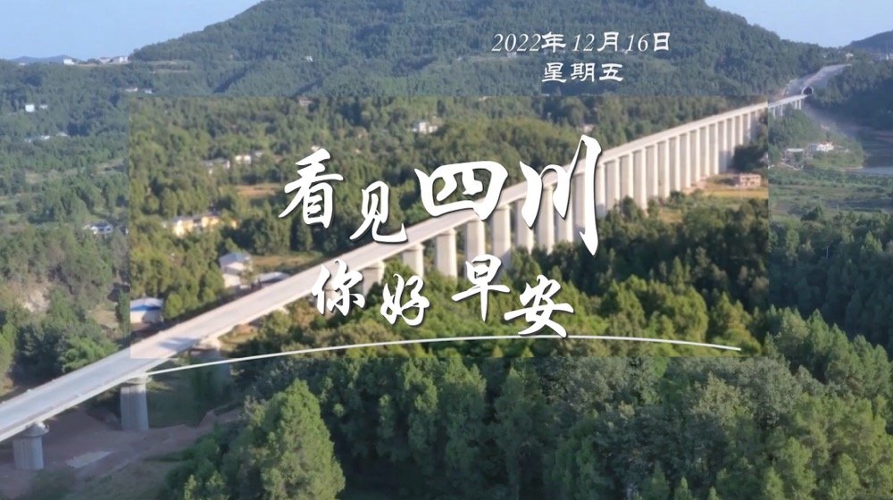 高大的泡桐树缀满钟形花冠