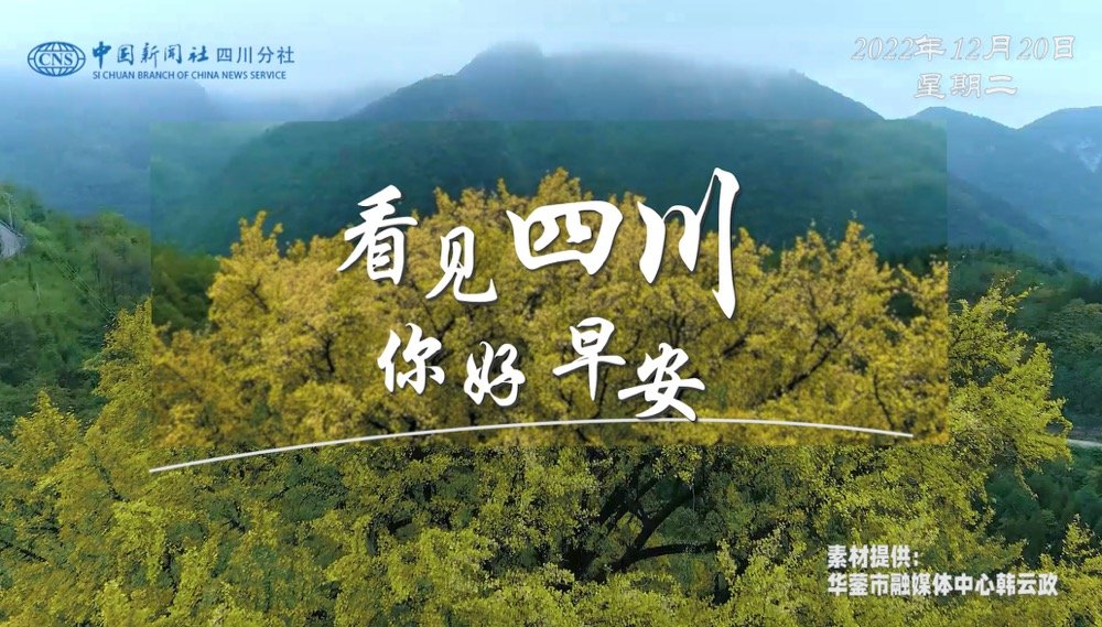 解说平武报恩寺百年玉兰迎来盛花期