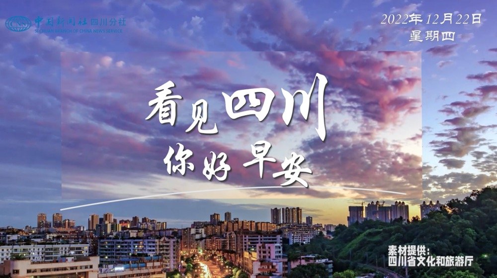 盈盈彩app官网