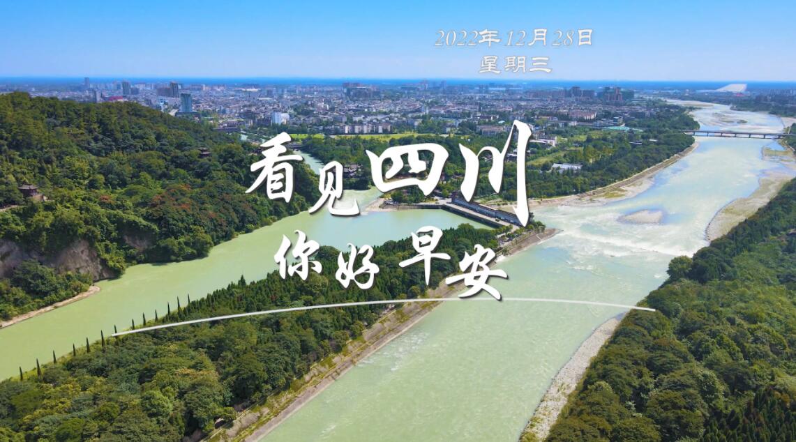 洁白的花朵缀满枝头