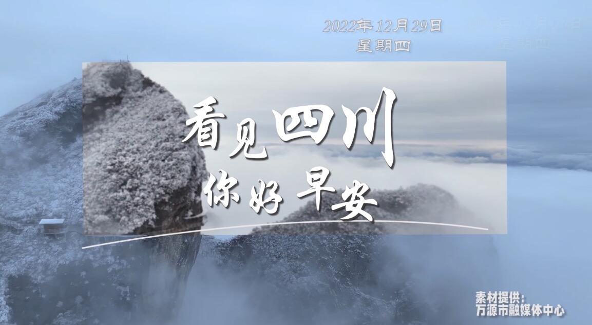 繁花缀满枝头
