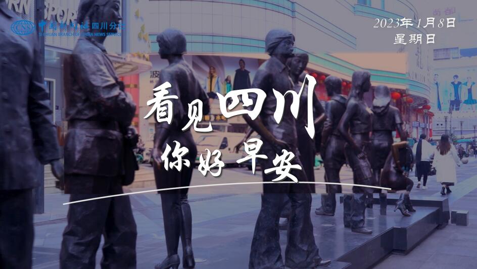 粉白花朵绽放在古寺院落