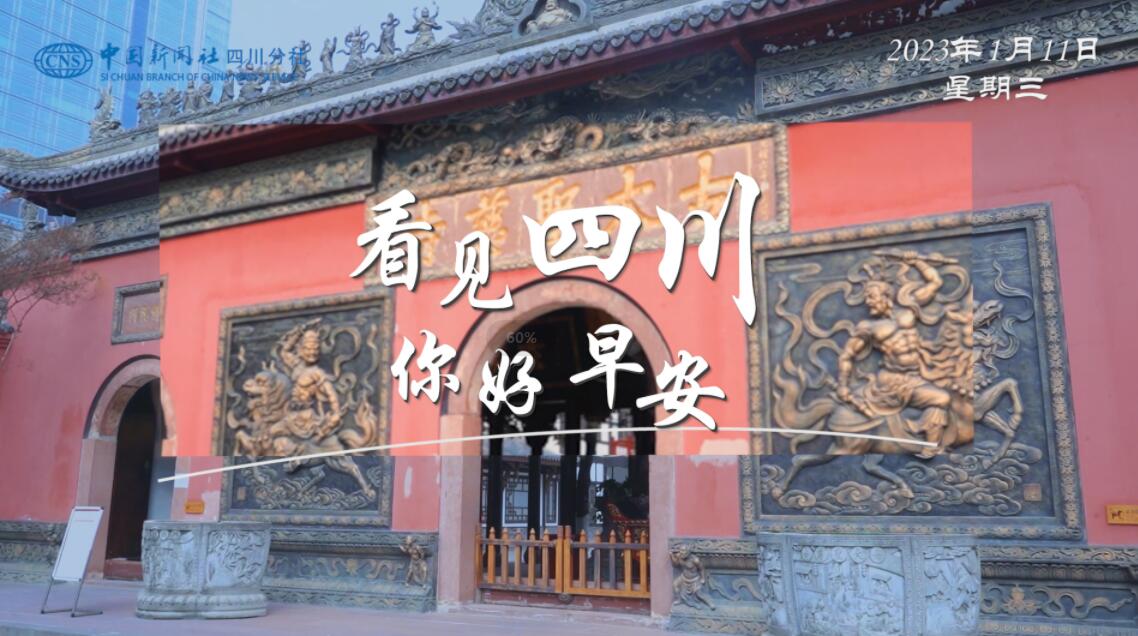 解说雅安市名山区的茶山迎来了最富生机