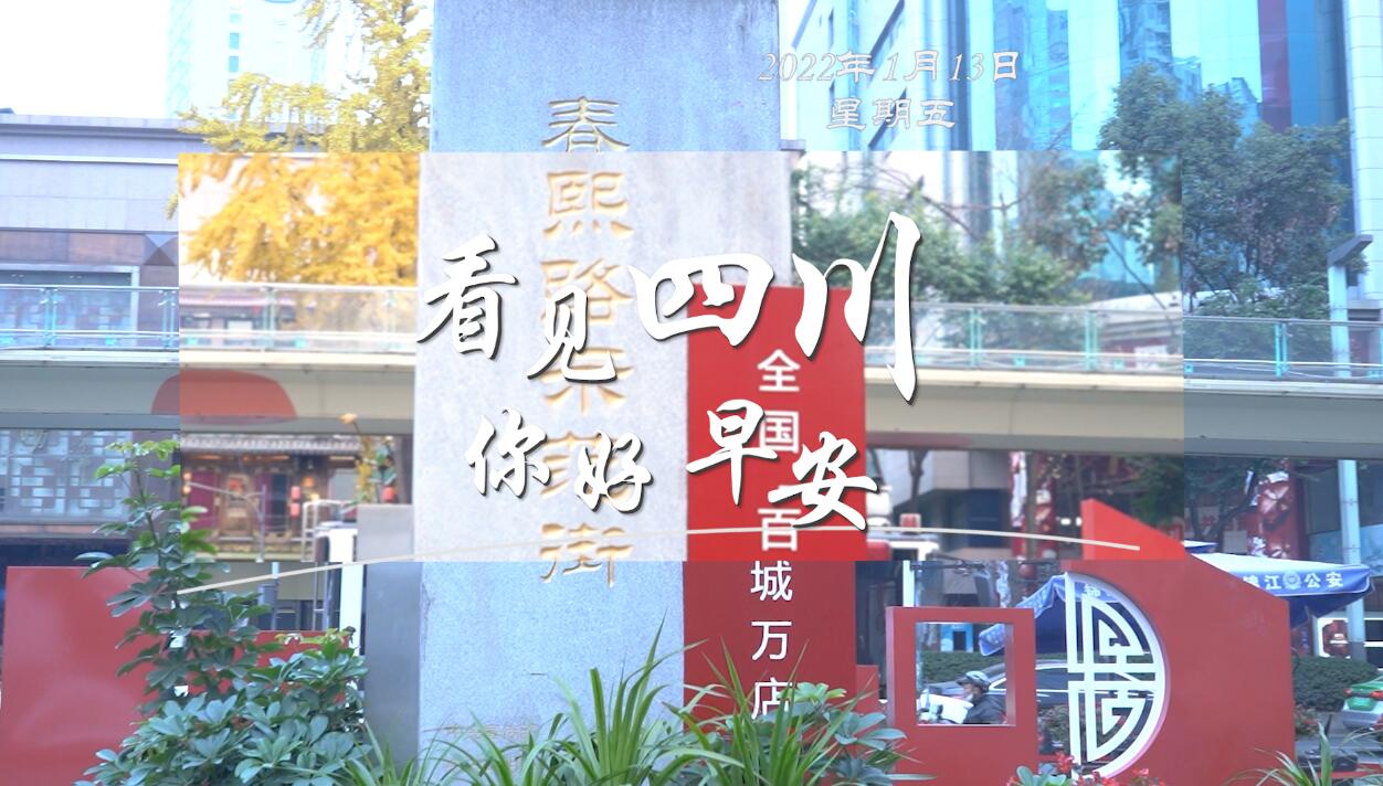 毛茸茸的