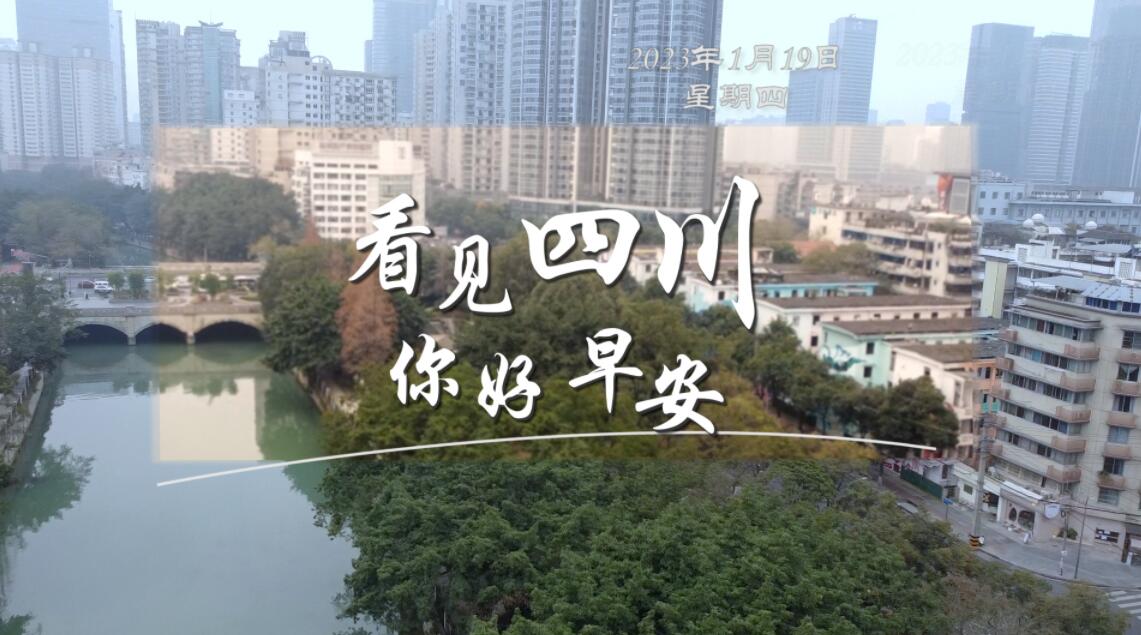 解说乐至县城市主干道的紫叶李花迎春绽