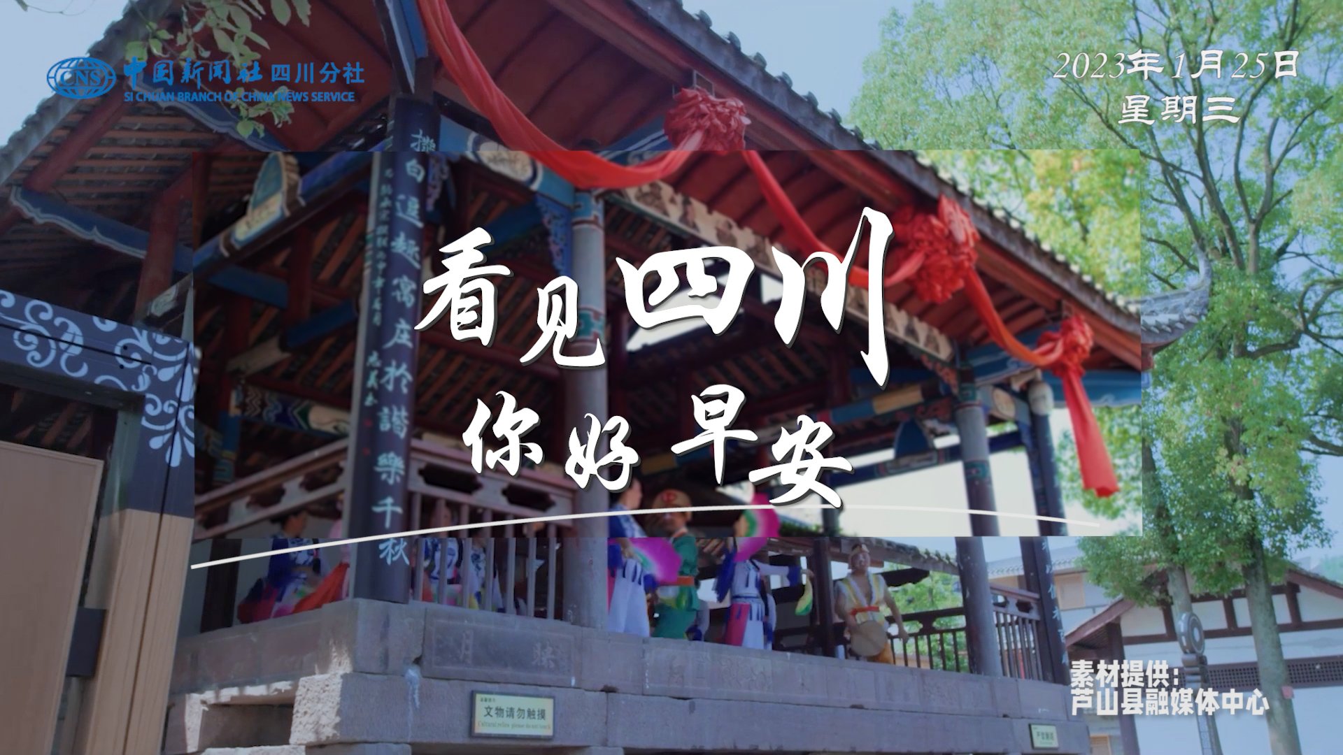 高大的泡桐树缀满钟形花冠