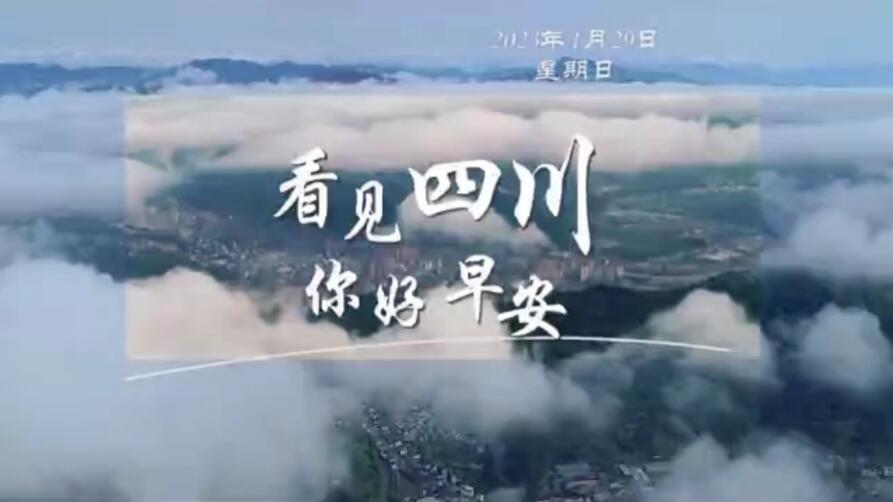 解说平武报恩寺百年玉兰迎来盛花期