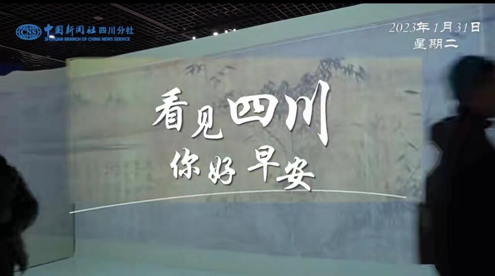 盈盈彩app官网