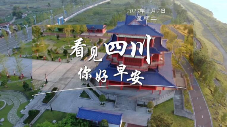 洁白的花朵缀满枝头