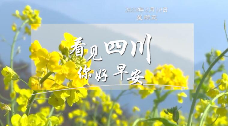 不少游客慕名前来乘坐和踏青赏花