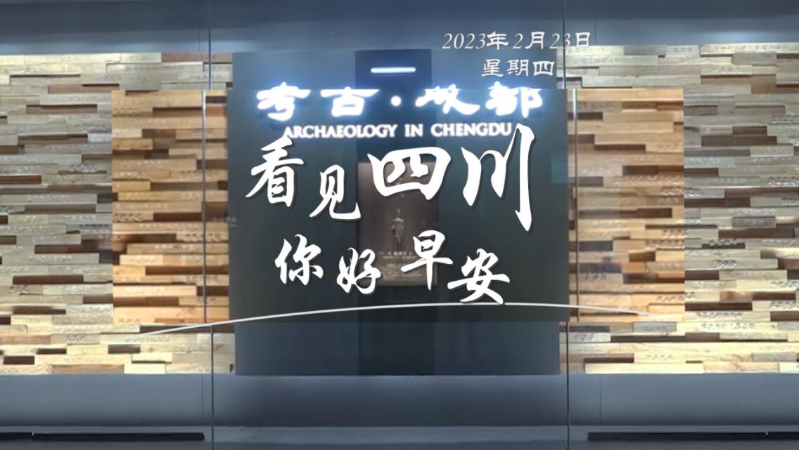 毛茸茸的