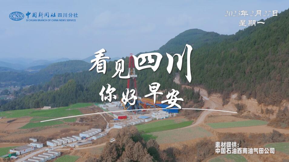 漫山遍野宛若雪海