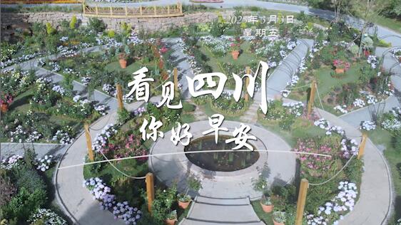 列车与盛放的油菜花构成一幅灵动的春日