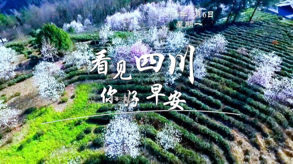 解说自贡灯会开启超长待机