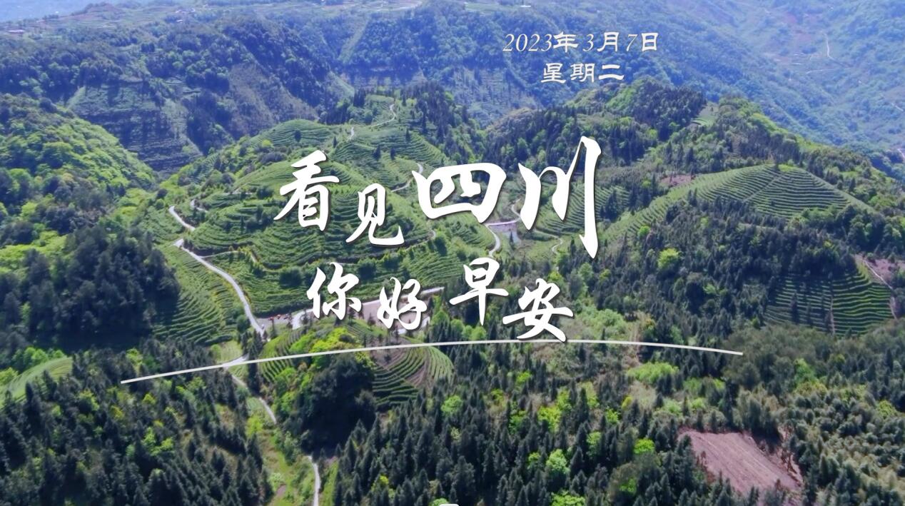 青石板路与古宅院落尽显温润春意