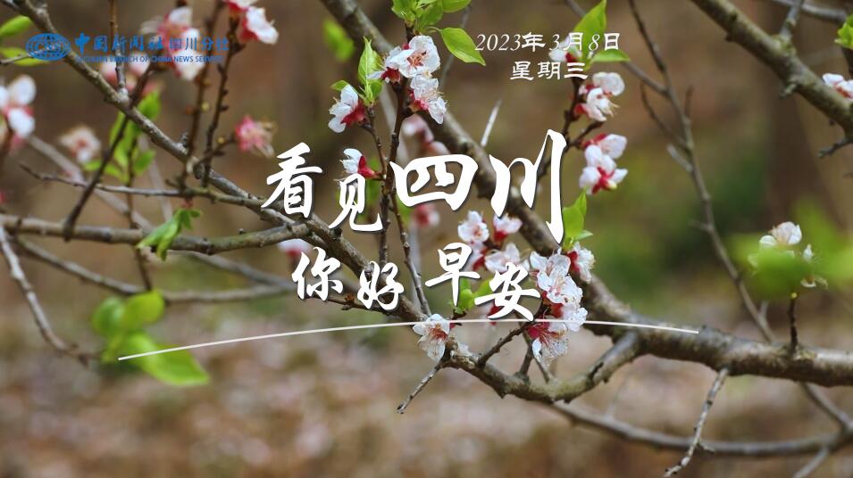 与锦绣天府电视塔的现代剪影相映成趣