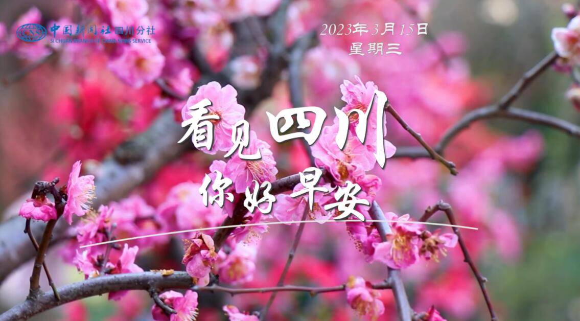 同题参见看见盈盈彩app下载限时优惠