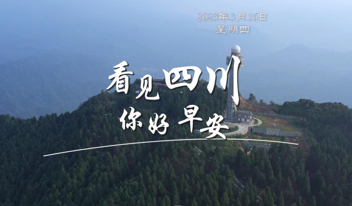 解说平武报恩寺百年玉兰迎来盛花期