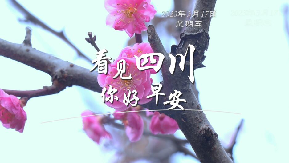 继续了解看见盈盈彩app下载限时优惠
