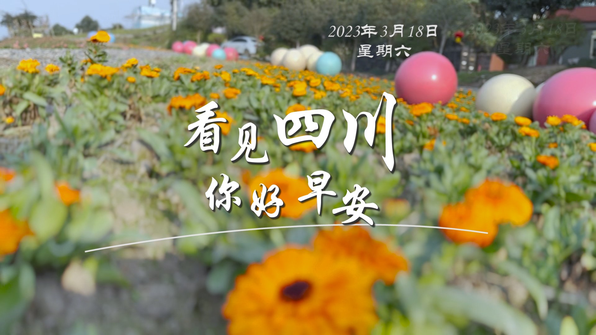 盈盈彩app官网