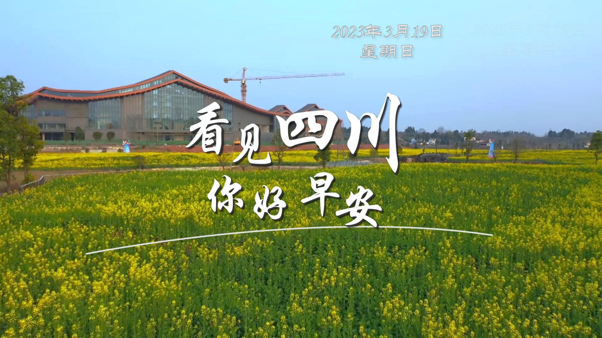 一芽一芽往外窜