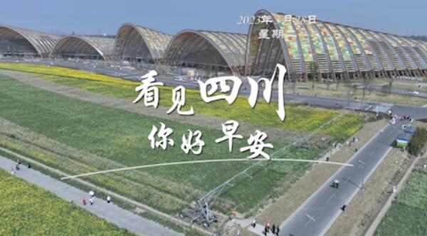 不少游客慕名前来乘坐和踏青赏花