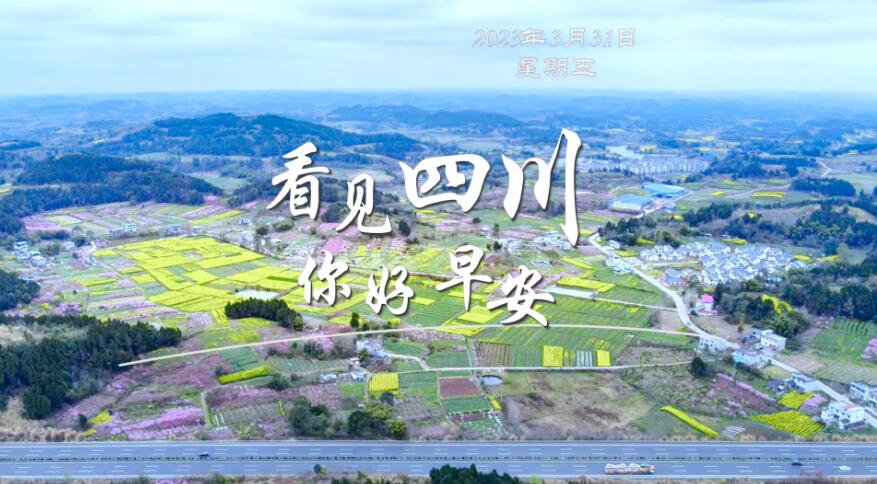 看见盈盈彩app下载限时优惠