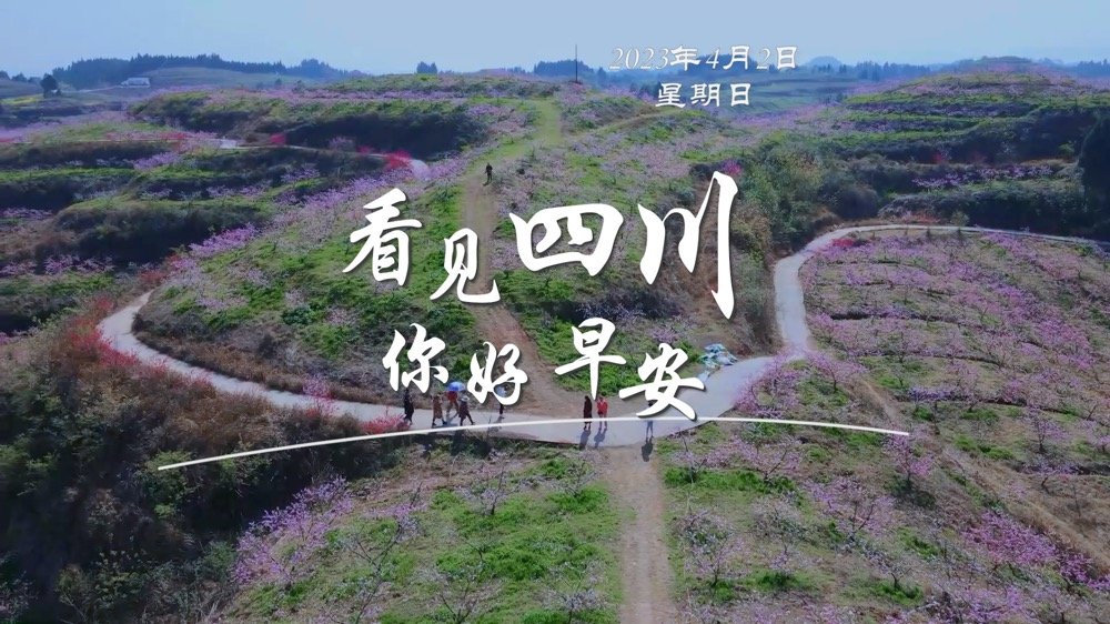 一串串花朵如风铃般相依相偎