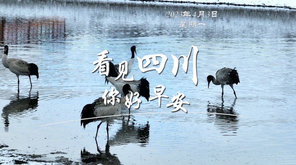位于盈盈彩app下载限时优惠市红星桥