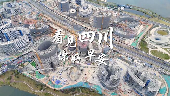 粉白花朵绽放在古寺院落