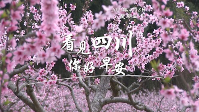 你好早安