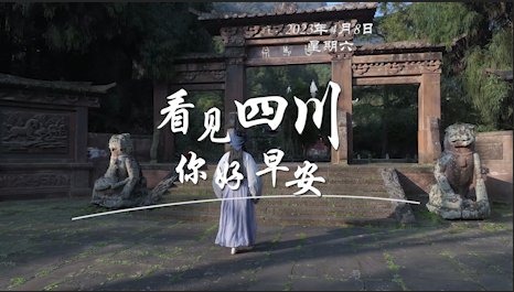 解说雅安市名山区的茶山迎来了最富生机