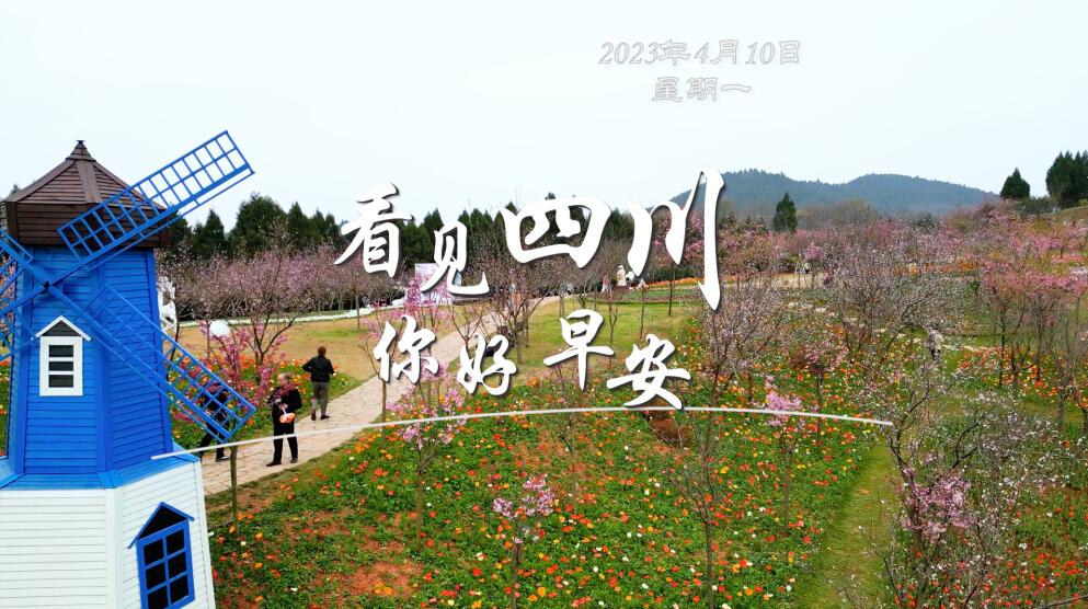 毛茸茸的