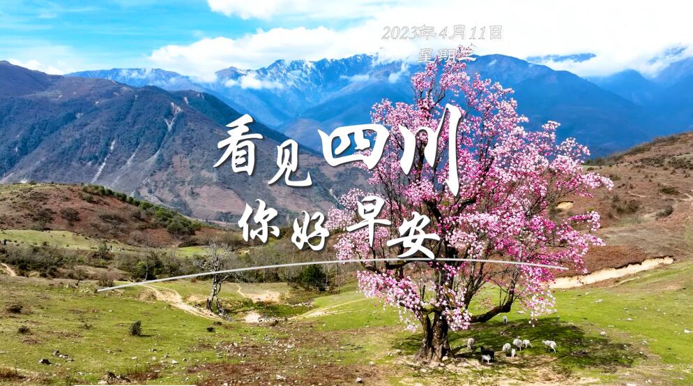 一边体验美食