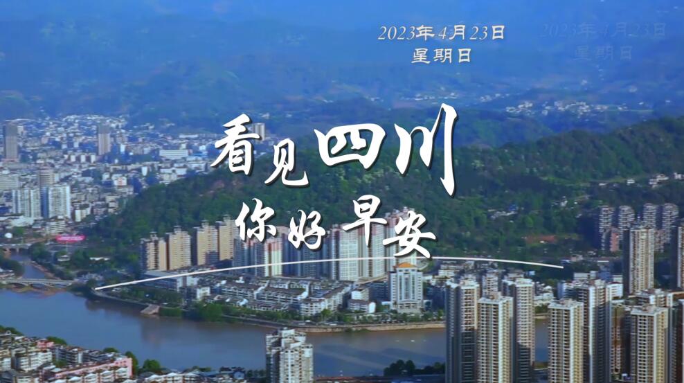 高大的泡桐树缀满钟形花冠