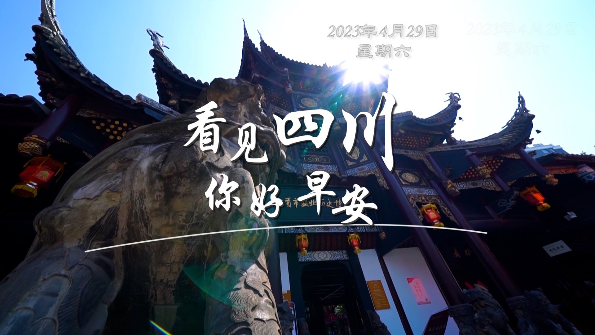 盈盈彩app官网