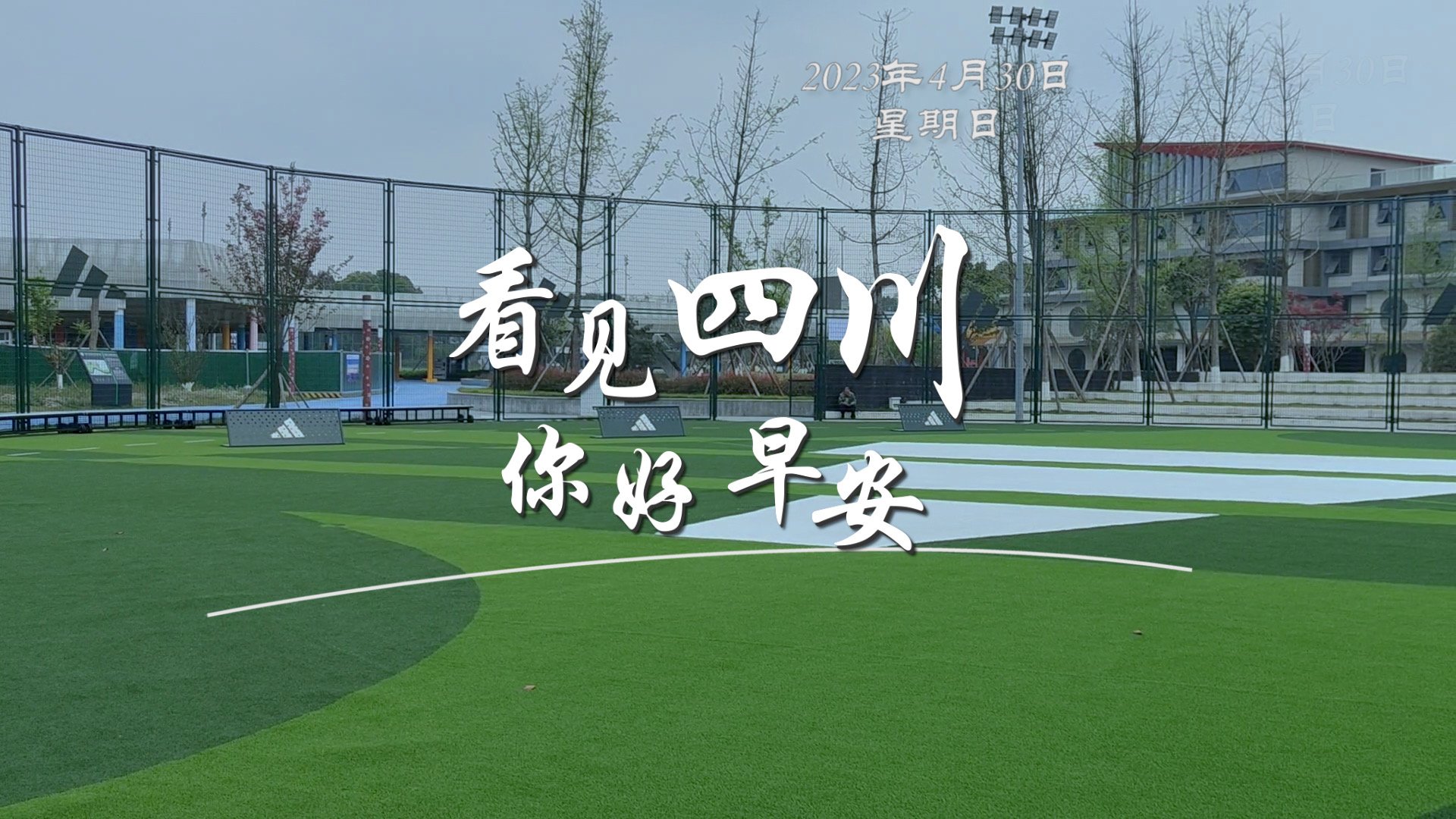 一芽一芽往外窜