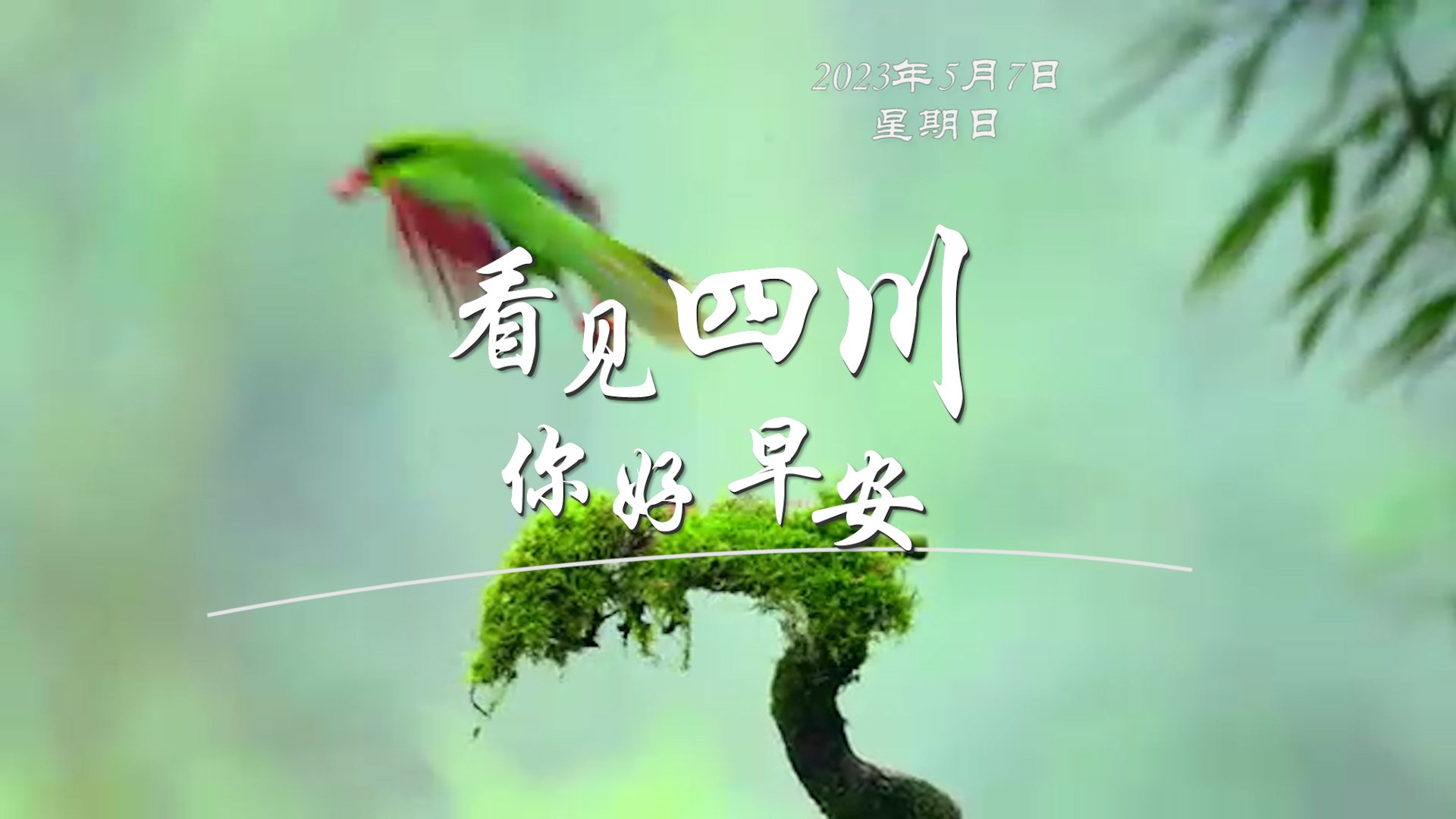 带你打卡位于眉山市彭山区的江口沉银博