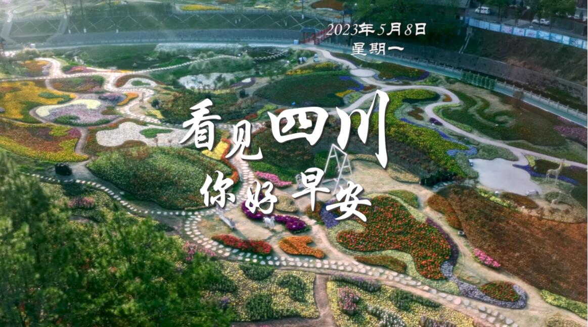 不少游客慕名前来乘坐和踏青赏花