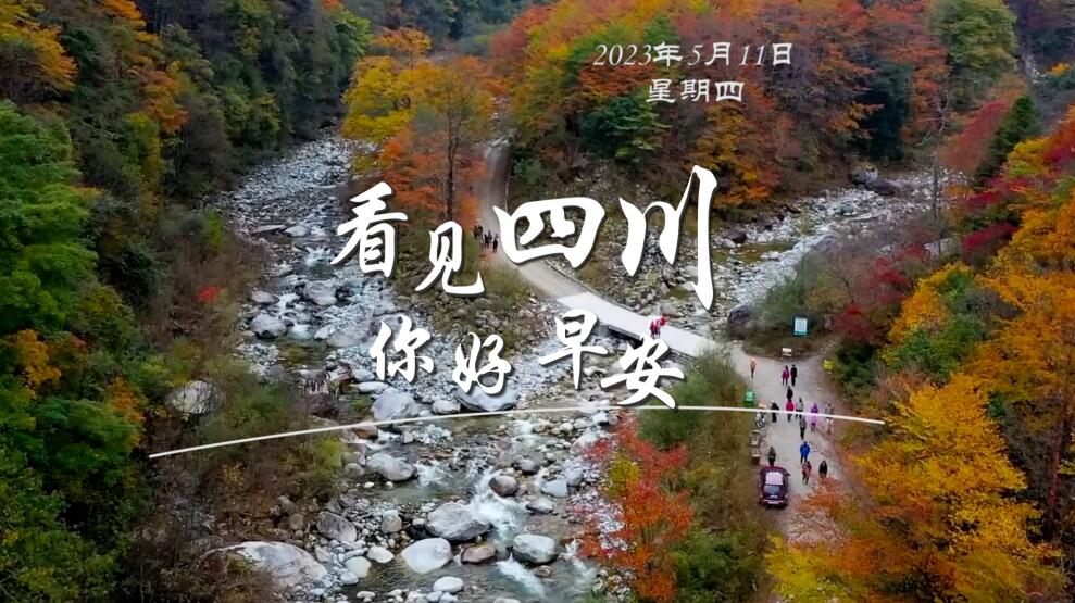 看见盈盈彩app下载限时优惠