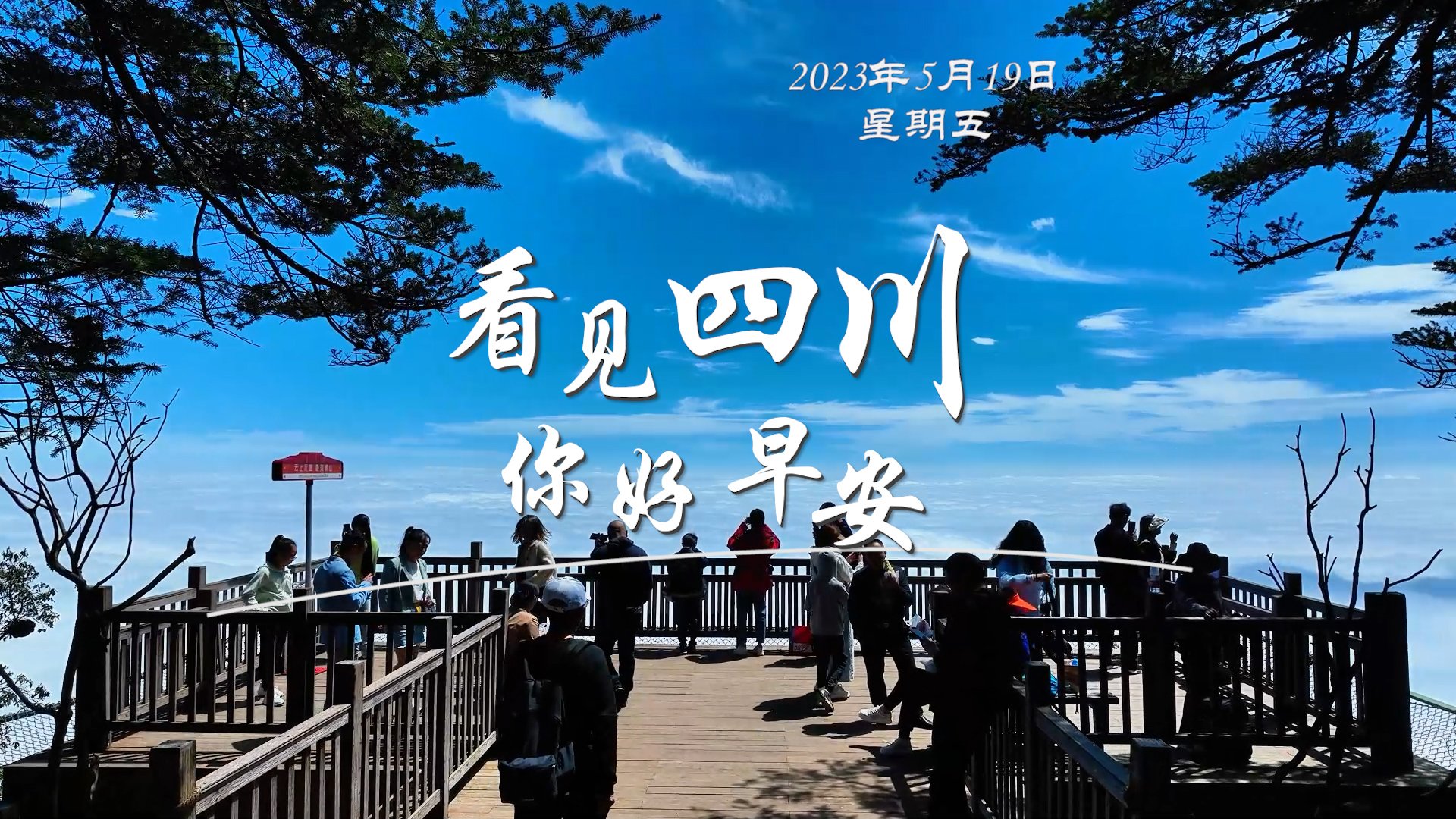 解说雅安市名山区的茶山迎来了最富生机