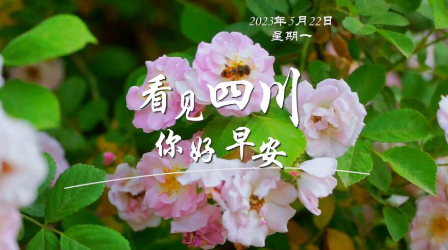 一边体验美食