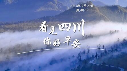 列车与盛放的油菜花构成一幅灵动的春日