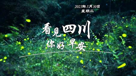 满足游客赏灯游玩的需求